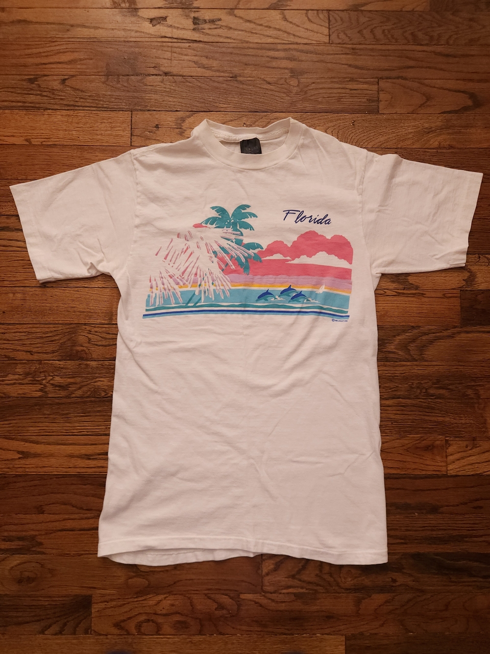 Vintage Florida Tee Pastel Sunset Dolphins Palm Trees Beach
